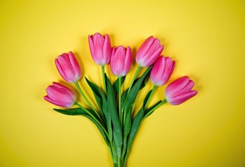 Fototapeta premium Vibrant pink tulips arranged beautifully against a bright yellow background