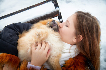 Fluffy Pomeranian receives love and care from a girl during a snowy winter walk in the park