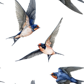 Flying birds seamless pattern decor element. Watercolor painted illustration. Cute barn swallows with spread wings on white background. Wildlife martin birds vintage style decoration element