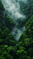 Lush green valley shrouded in mist