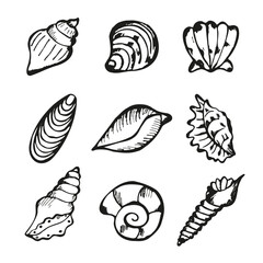 Sea Shell Hand Drawn Set Isolated on white Background. SeaShell Doodle Ink Drawn Sketch Outline Collection. Summer Nautical Ocean Icon Element for Card, Poster, Banner, Wedding or Birthday Invitation.