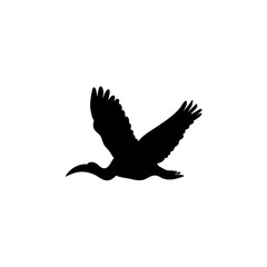 Ibis bird silhouette. Vector illustration 