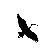 Ibis bird silhouette. Vector illustration 