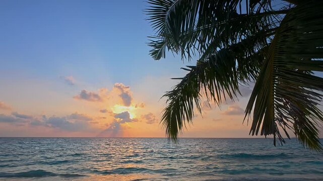 Banner Summer with silhouette colorful theme as palm trees background as texture frame	