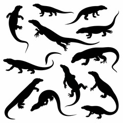 Obraz premium Silhouette collection of Komodo dragons in various poses on a white background for design elements and artistic compositions