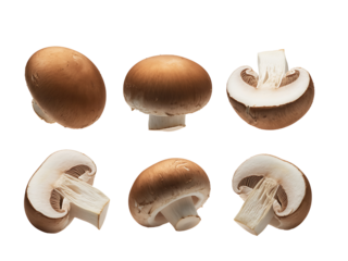 Whole and Sliced Brown Mushrooms - Agarics Bosporus