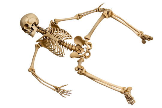 Skeleton doing a backflip, transparent background - Powered by Adobe