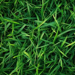 Green Grass Digital Background, Generative AI