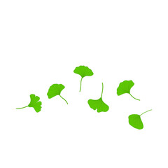 Flying ginkgo leaves vector illustration