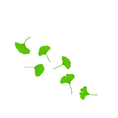Obraz premium Flying ginkgo leaves vector illustration