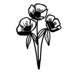 Poppy flowers doodle line art 