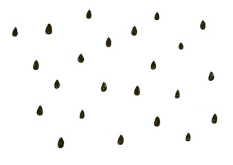 スイカの種　雨粒　ドット