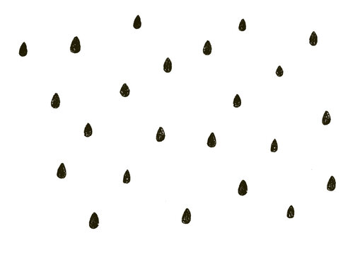 スイカの種　雨粒　ドット