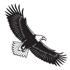 Obraz premium Eagle in Flight Silhouette