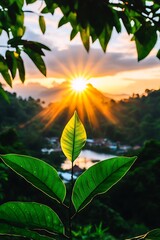 Sunrise through lush foliage, vibrant greens, tranquil valley