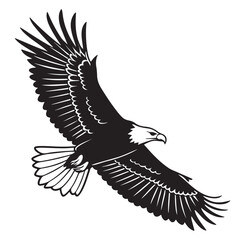 Obraz premium Eagle in Flight Silhouette