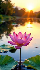 serene sunrise lotus flowercreate a beautiful and tranquil sunlit sketch of a pink and yellow lotus flower in full bloom atop a calm lake during sunrise
