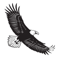 Obraz premium Eagle in Flight Silhouette