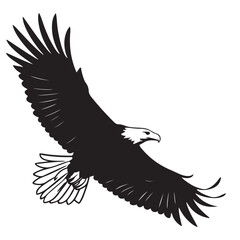 Obraz premium Eagle in Flight Silhouette