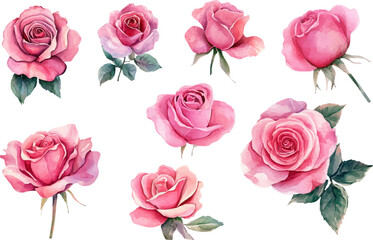 Obraz premium pink roses flowers clipart