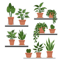 Houseplants Collection Potted Plants Home Decor Green Indoor Plants Shelf Arrangement