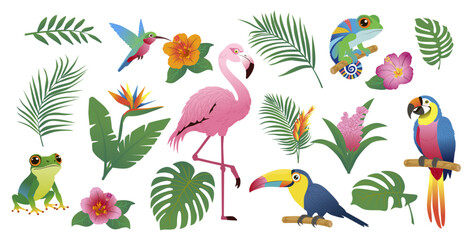 Tropical collection with exotic flowers, leaves and mammals and birds. Vector design isolated elements on white background. Vector illustration hand drawn