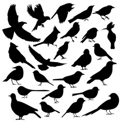collection of bird silhouettes