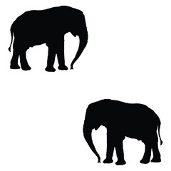 Fototapeta premium Elephant silhouette, Elephant vector, Elephant illustration, silhouette, set icon, silhouette, Elephant