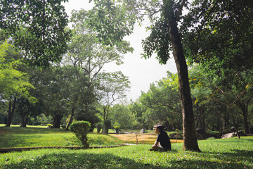 wellness concept with asian man exercise with tree in park on summer season