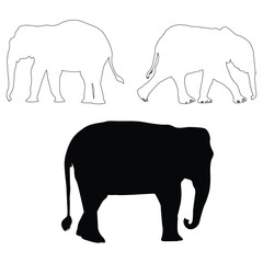 Elephant silhouette, Elephant vector, Elephant illustration, silhouette, set icon, silhouette, Elephant