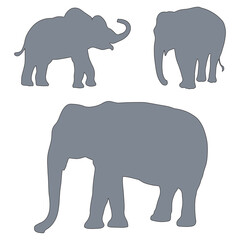 Fototapeta premium Elephant silhouette, Elephant vector, Elephant illustration, silhouette, set icon, silhouette, Elephant