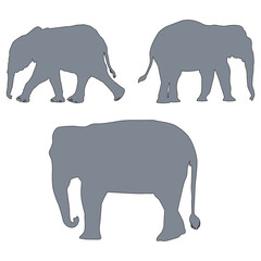 Elephant silhouette, Elephant vector, Elephant illustration, silhouette, set icon, silhouette, Elephant