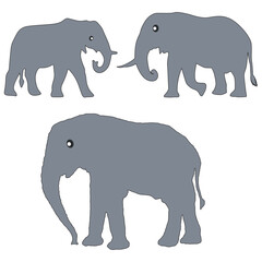 Elephant silhouette, Elephant vector, Elephant illustration, silhouette, set icon, silhouette, Elephant