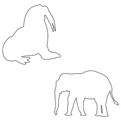 Elephant silhouette, Elephant vector, Elephant illustration, silhouette, set icon, silhouette, Elephant