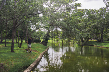 wellness concept with asian man exercise with tree in park on summer season