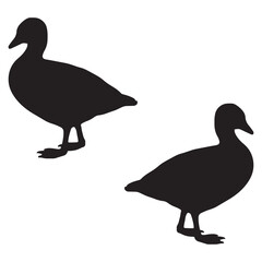 Goose Duck silhouette, Goose illustration, silhouette, Duck vector, set icon, silhouette, Goose 