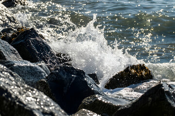 Ocean waves crashing against dark rocks, creating a dynamic splash of water. Sunlight glistens on the wet surfaces.