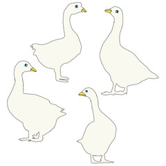 Goose Vector illustration Design Gosse vector set Duck vector, set icon, silhouette, Goose