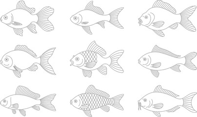 Fototapeta premium Outline illustrations of various fish species in simple line art style for design purposes