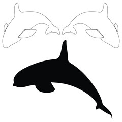 Killer whale silhouette, Killer whale illustration, silhouette, Killer whale vector, set icon, silhouette, Killer whale