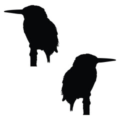 Birds silhouette, macaws vector, Birds illustration, silhouette, set icon, goose silhouette, kingfisher