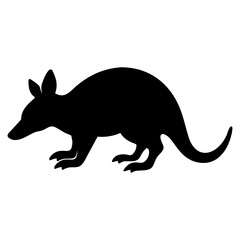 Obraz premium Armadillo vector silhouette