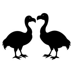 Obraz premium Dodo vector silhouette