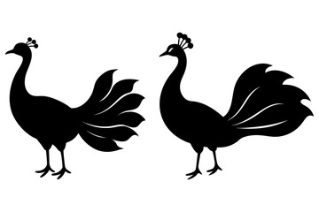 Peacock vector silhouette