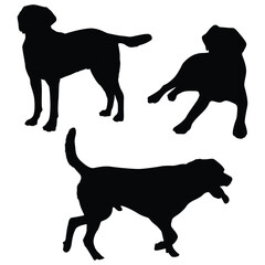 Labrador dogs silhouette, Labrador illustration, silhouette, Labrador vector, set icon, silhouette, Labrador