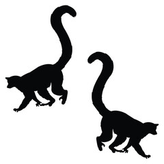 Lemurs silhouette, Lemurs vector, Lemurs illustration, silhouette, set icon, silhouette, Lemurs