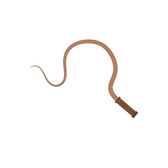 Cowboy whip icon. Vector illustration 