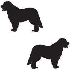 Leopard silhouette, Leopard vector, Leopard illustration, silhouette, set icon, silhouette, Leopard
