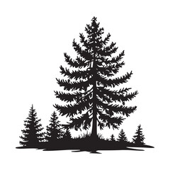 Pine trees vector illustration