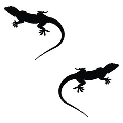 Lizard silhouette, Lizard illustration, silhouette, Lizard vector, set icon, silhouette, Lizard